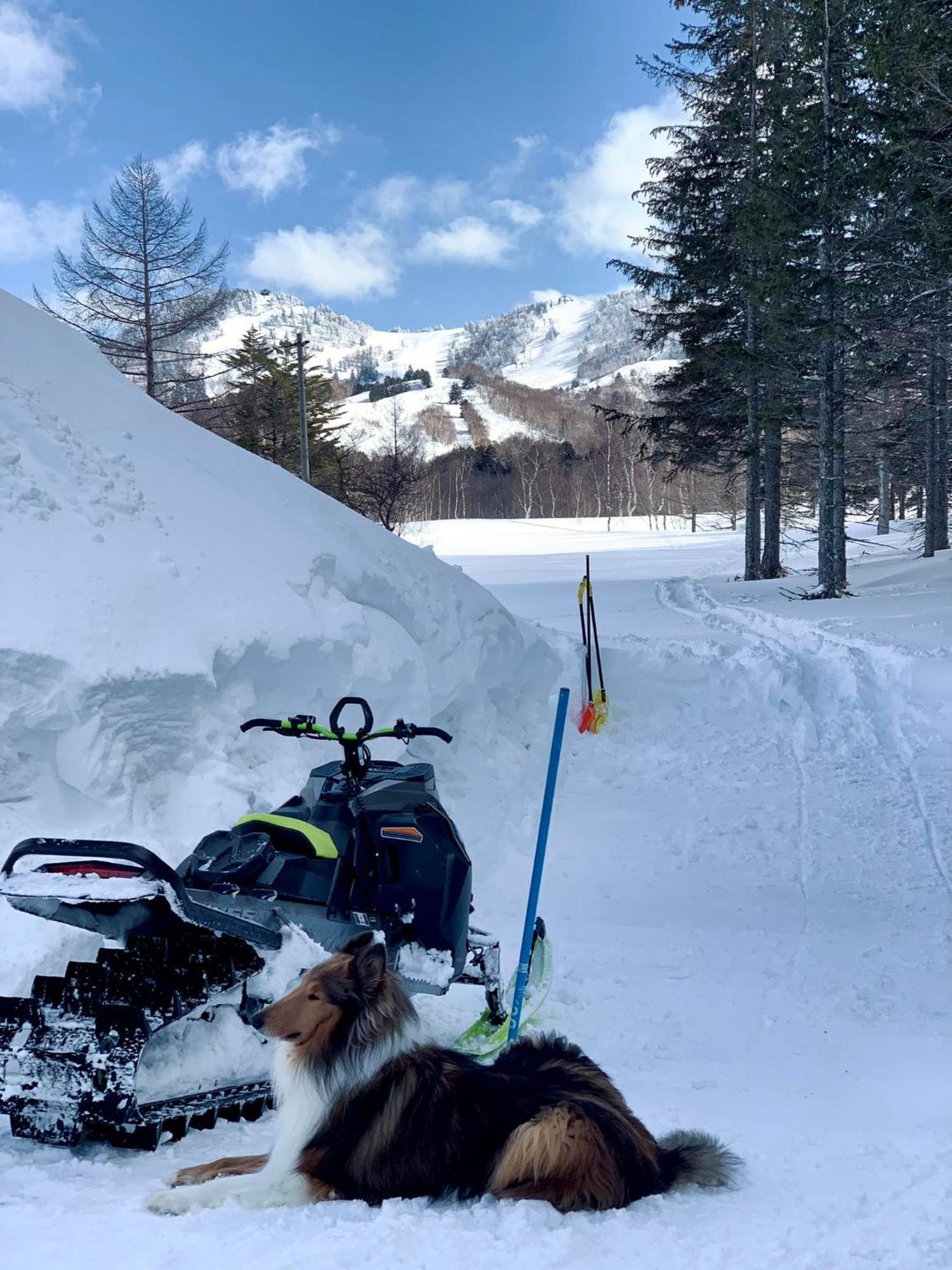 ホテル Tabist 幸の湯 志賀高原 山ノ内町 エクステリア 写真